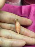 14k gold with natural coral conch seashell charm pendant